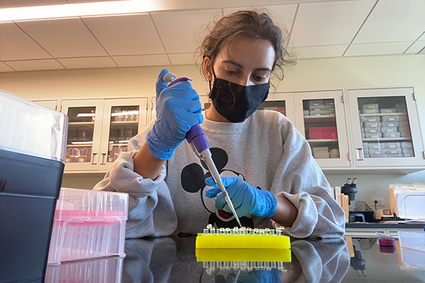 A student pipetting samples into small beakers in a lab