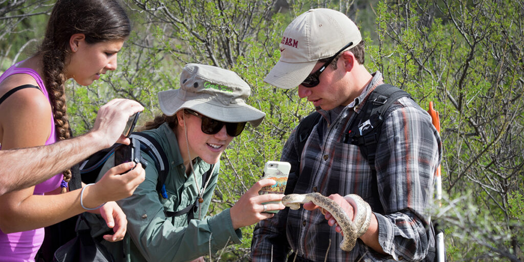 Two students taking close-up pictures of a snake held by a third student