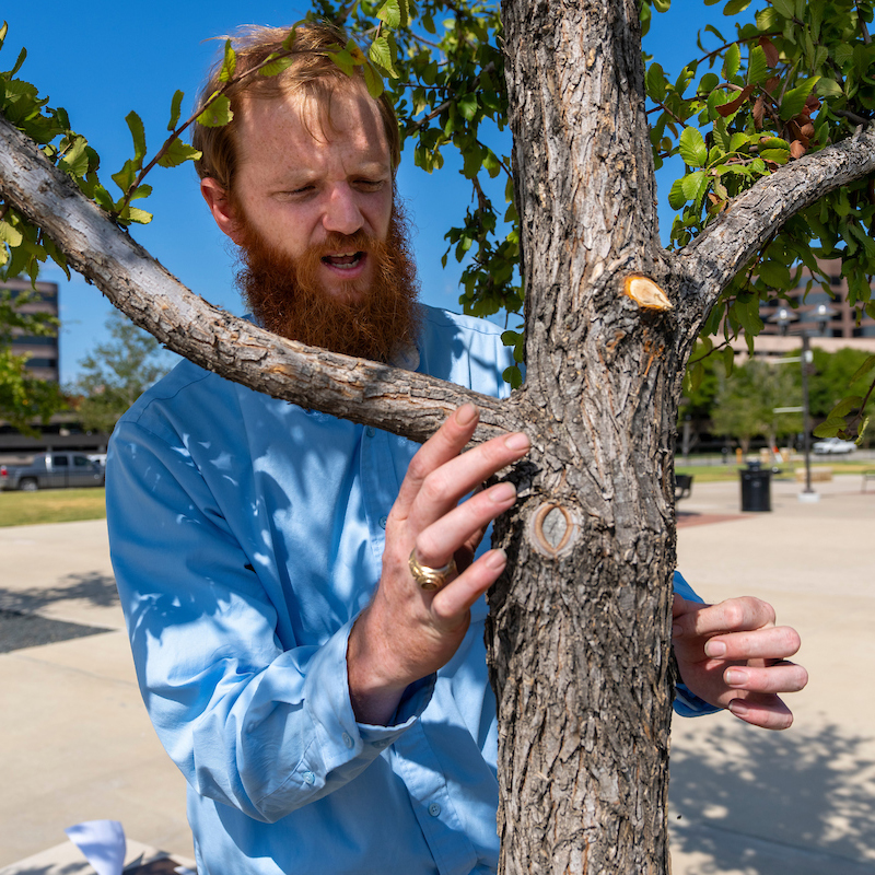 A man examining the trunk of a small tree