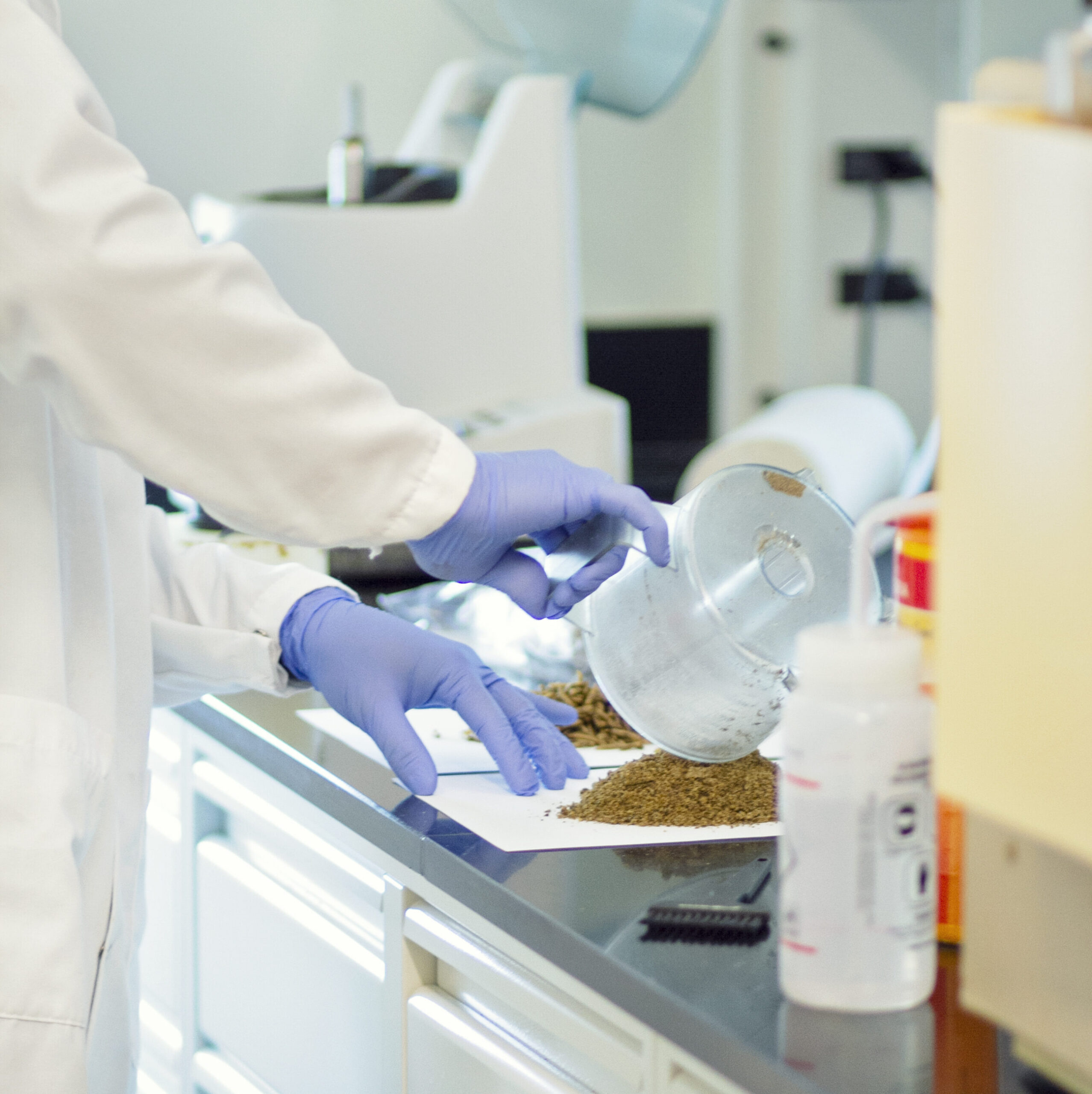 A person doing some type of work in a lab while wearing blue gloves and a lab coat.