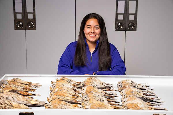 Girl sitting in front of a white table with multiple bird species on the table.