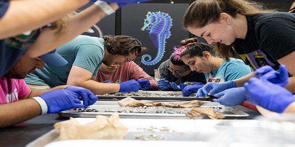 Students in ecology taxonomy lab in Biodiversity Research and Teaching Collegections.