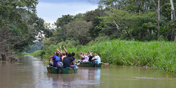 Students on a boat on the Amazon river, taking pictures of an animal in a tree as a part of an ECCB education abroad.