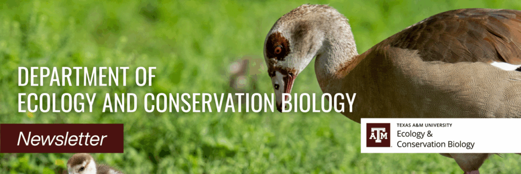 Department of Ecology and Conservation Biology Newsletter